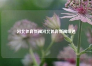 河北体育新闻河北体育新闻综述