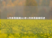 11月体育新闻2023年11月体育新闻综述