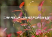 买球的网站app购买足球相关产品的在线平台