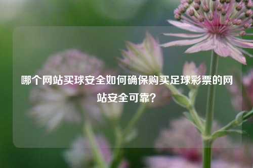 哪个网站买球安全如何确保购买足球彩票的网站安全可靠？