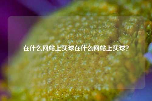 在什么网站上买球在什么网站上买球？