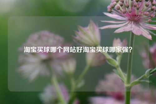 淘宝买球哪个网站好淘宝买球哪家强？