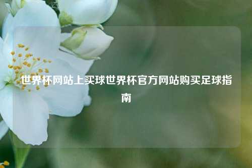 世界杯网站上买球世界杯官方网站购买足球指南