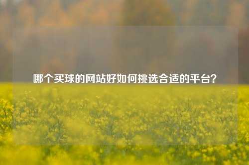 哪个买球的网站好如何挑选合适的平台？