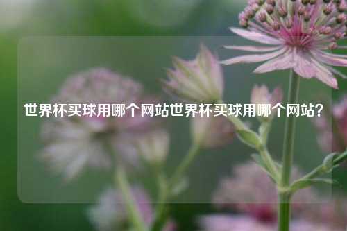 世界杯买球用哪个网站世界杯买球用哪个网站？
