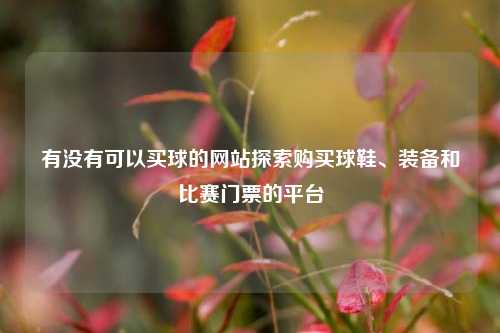 有没有可以买球的网站探索购买球鞋、装备和比赛门票的平台